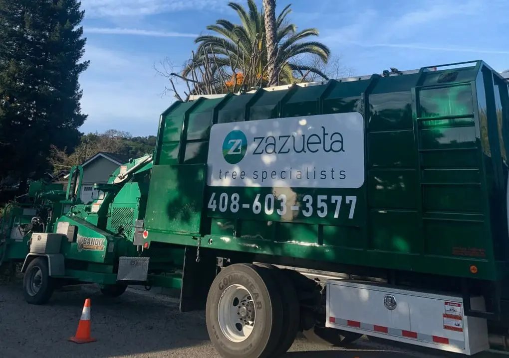 Tree Services in San Jose CA - Zazueta Tree Specialists - Zazueta Tree Specialists Zazueta Tree Specialists commercial tree service truck and wood chipper parked on a residential street.