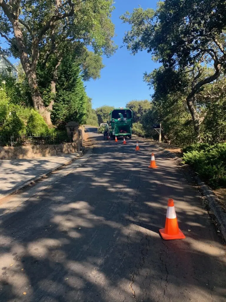 Zazueta Tree Specialists green wood chipper truck parked on a tree-lined road with orange safety cones marking the work area.