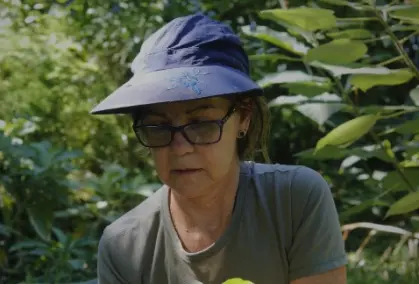 Client-Focused Tree Care - Zazueta Tree Specialists - Zazueta Tree Specialists Homeowner tending her garden, the kind of client Zazueta Tree Specialists supports with expert arborist advice and tailored tree care.