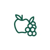 Minimalist green line-art icon of an apple and grapes inside a white circle for free fruits and nuts