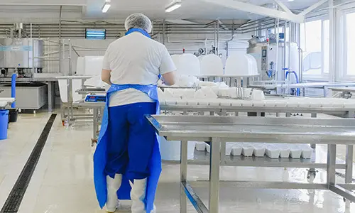food-bakery-process-dust | Sly Air Pollution Control