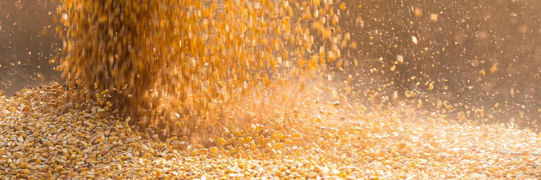 grain-dust-control | Sly Air Pollution Control