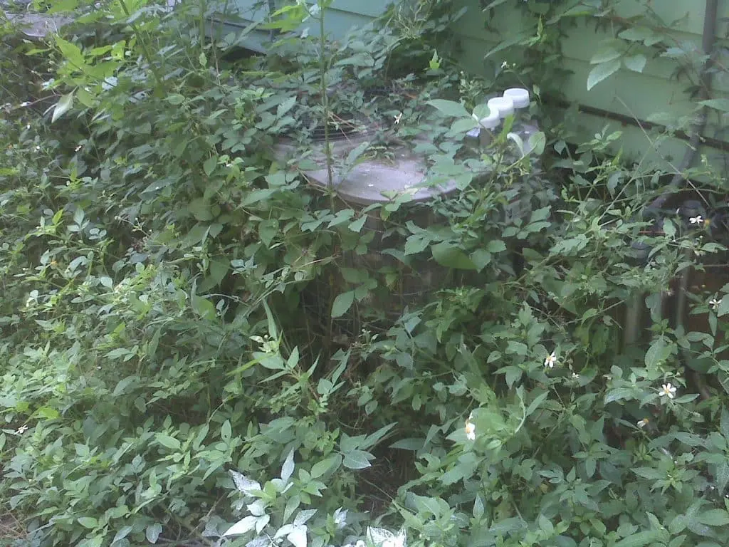 air conditioning unit in the bushes