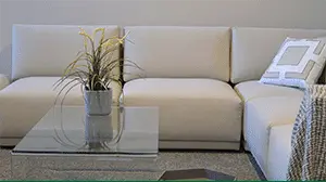 upholsterycleaning