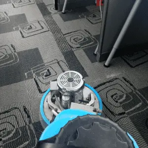 cleaning office carpet