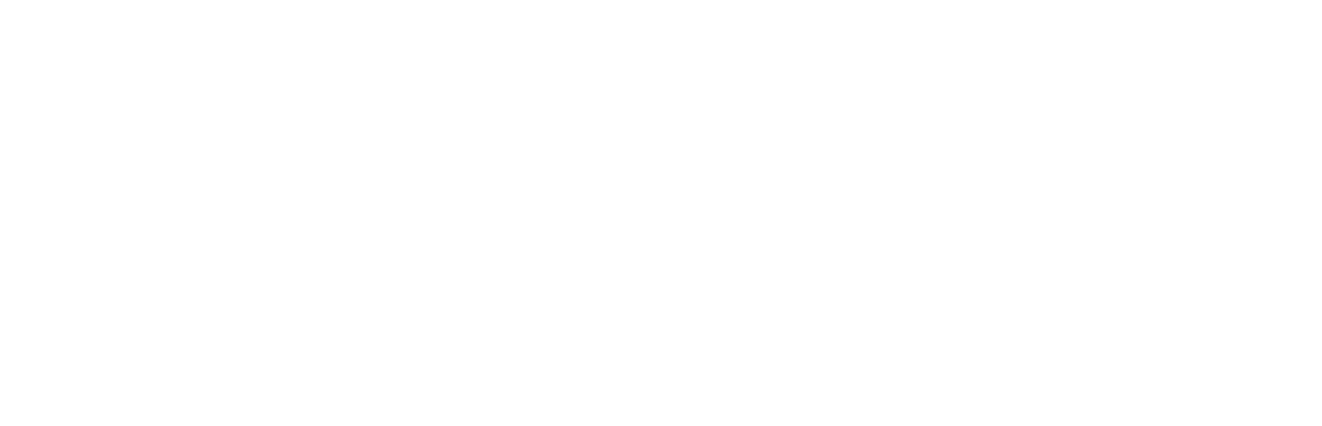 white beard strategies - ai coaching and mentoring