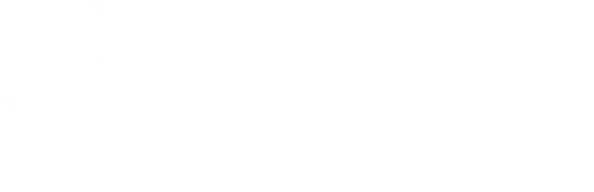 white beard strategies - ai coaching and mentoring