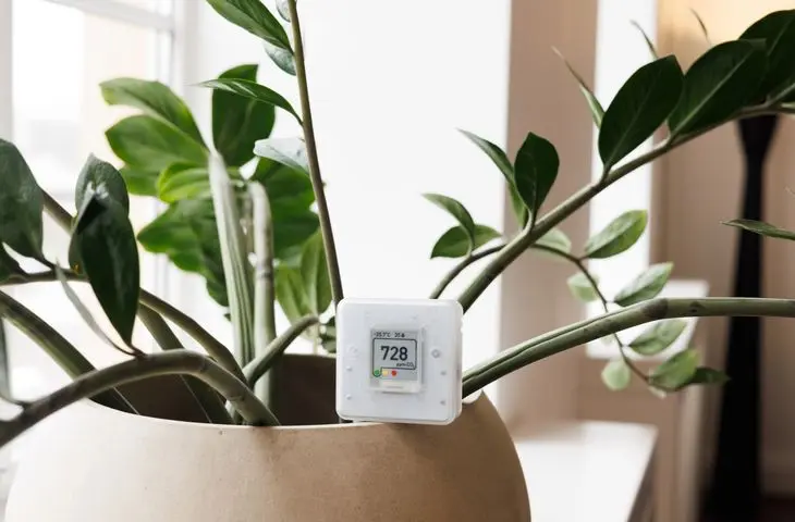 A digital thermometer displaying 25.7°C sits on a large potted plant with green leaves.