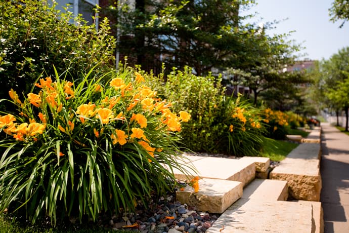commercial landscape enhancement services in twin cities mn