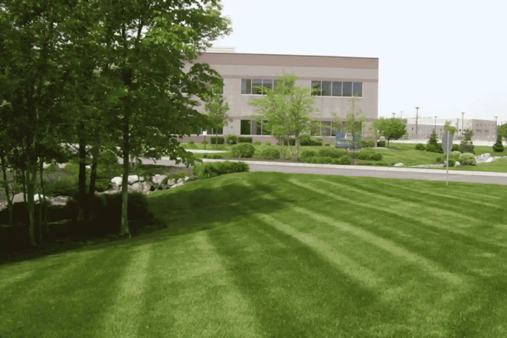 Lawn4