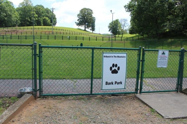 Dog-park