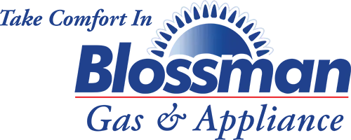blossmangas-logo