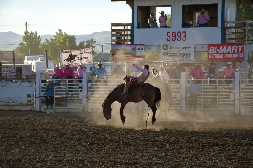 Georgia Rodeo