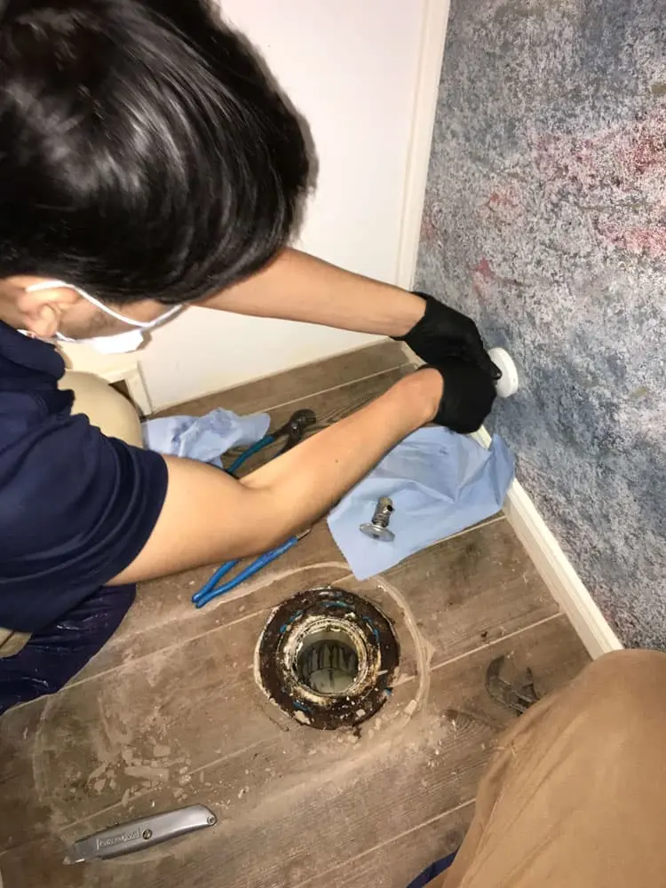 Toilet Comfort Height Replacement