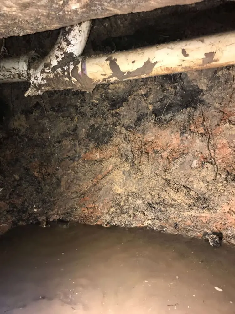 Tunnel Under Home Sewer Repair