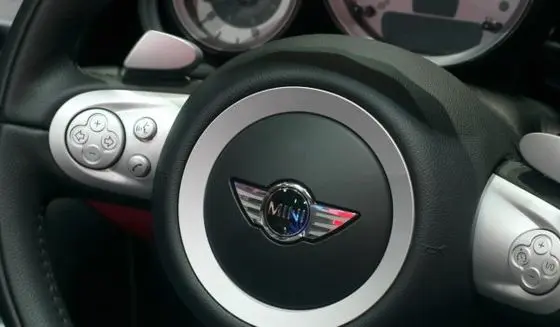 Recommended Service Mini