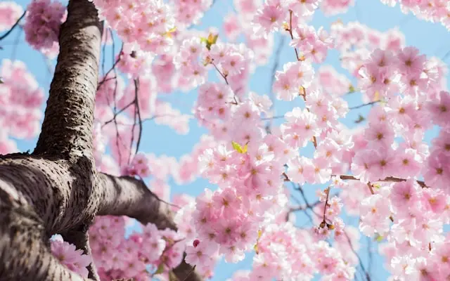 Spring wellness check: your annual OB/GYN visit made comfortable
