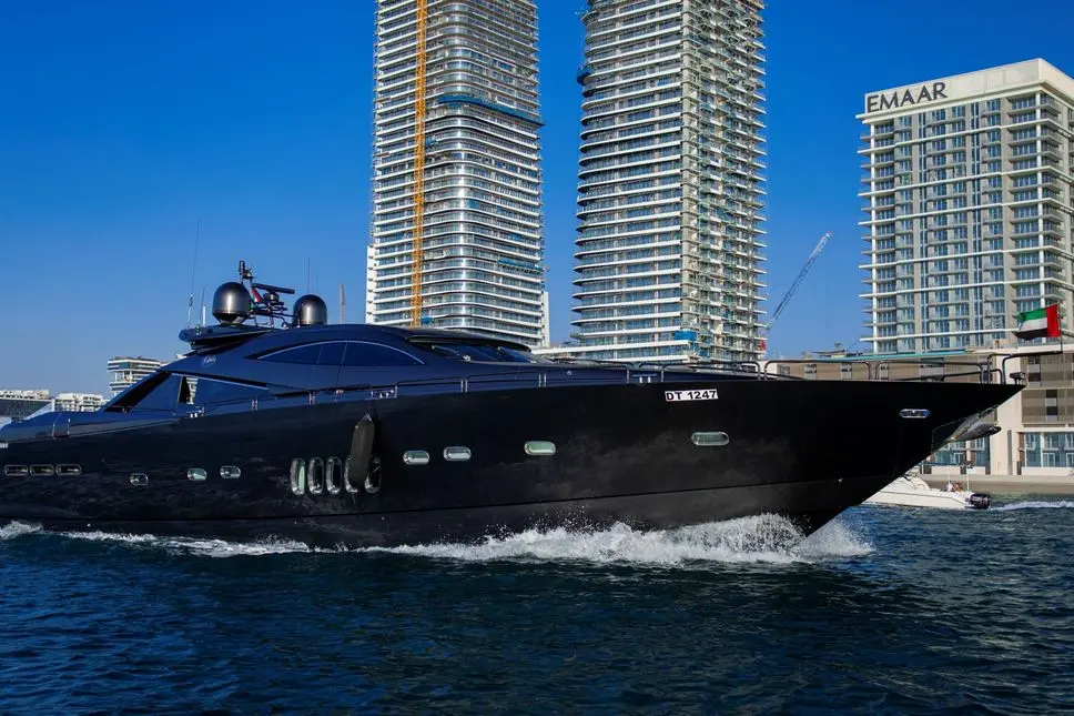 Black Predator 95