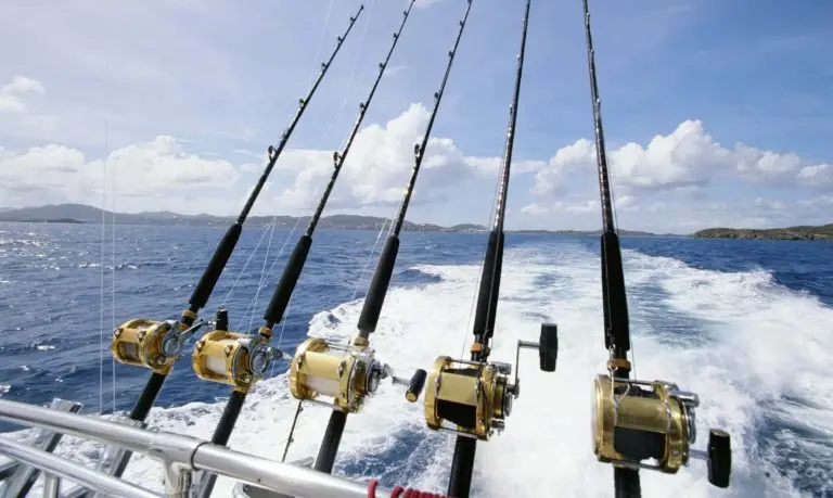 Why Should You Teach Your Child to Fish This Summer