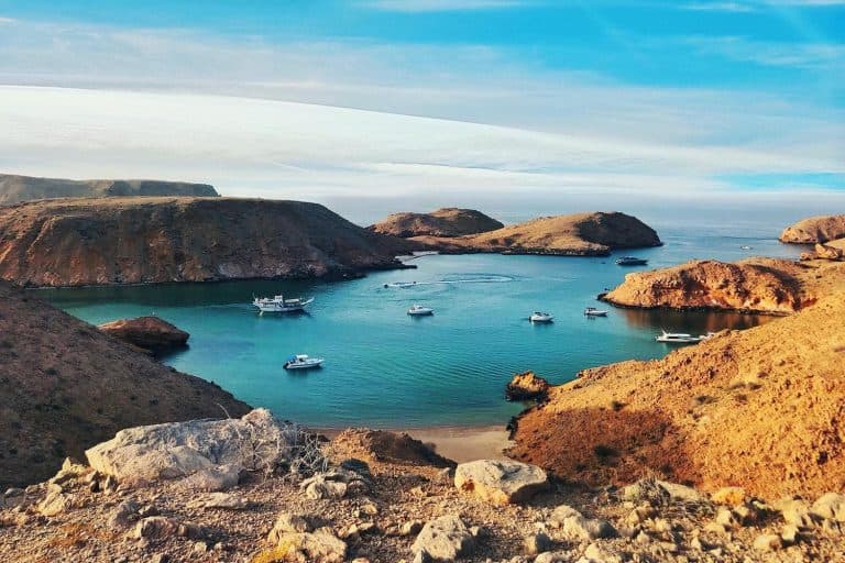 Multiple Day Charters to Oman: Experiencing Dolphins and More