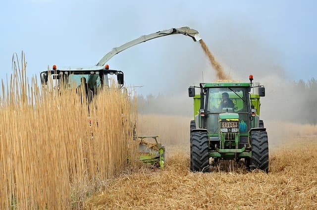 Eine Erntemaschine bei der Ernte auf einem Bauernhof