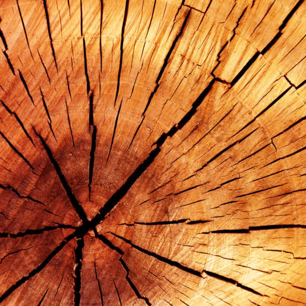 wood
