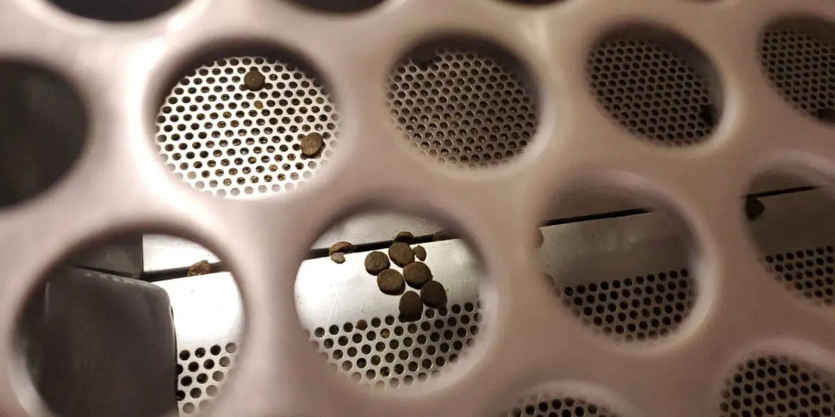 Close-up of a perforated metal tray with small brown pellets scattered on the holes.