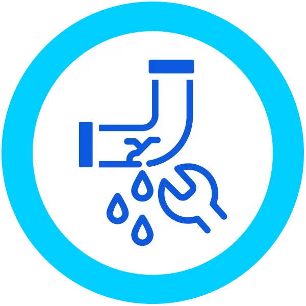 Leak Detection and Repair