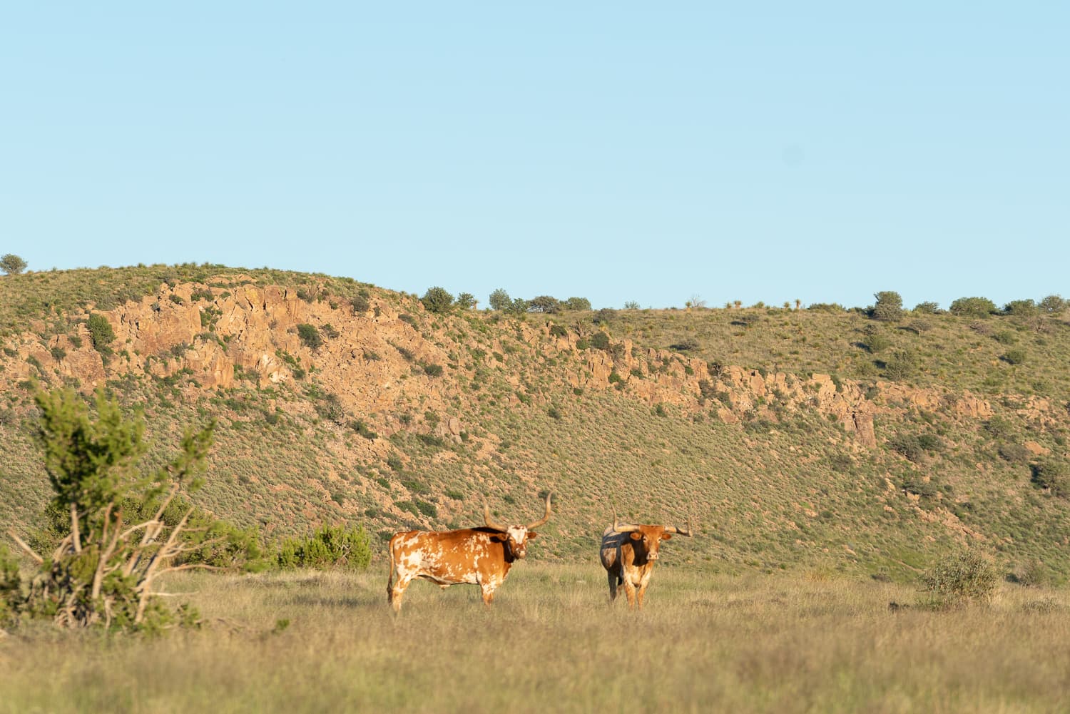 Texas tourism destination photography