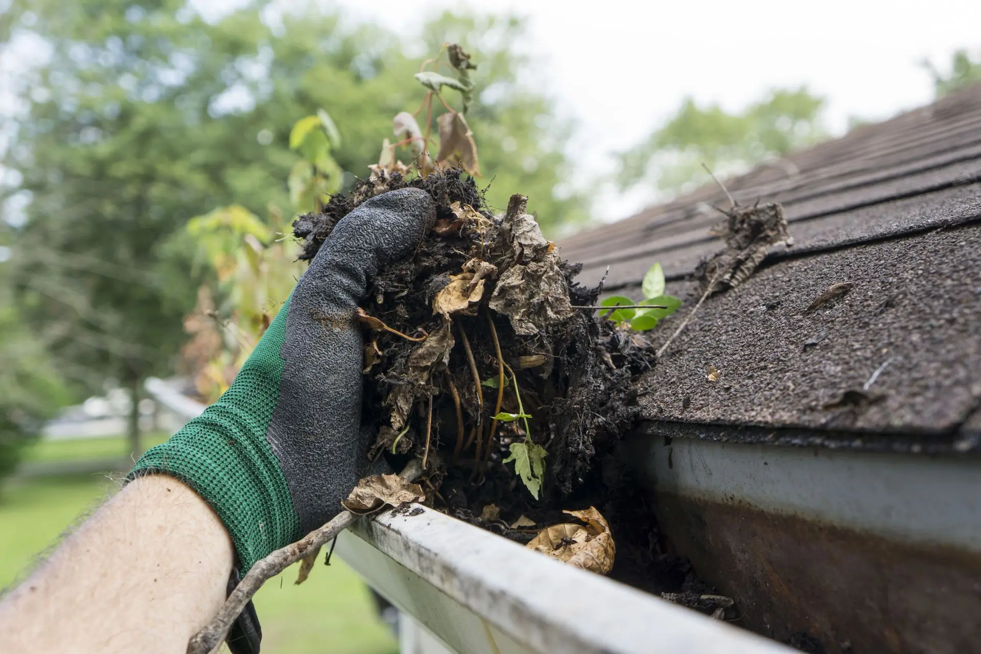 cleaninggutters_1xijdrr00iwgzj13k3gi6f-1920x1280 (1)