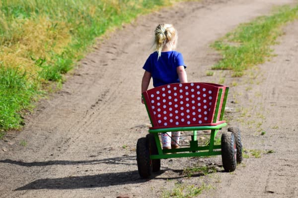 child walking down road pulling wagon to symbolize relocating in custody action