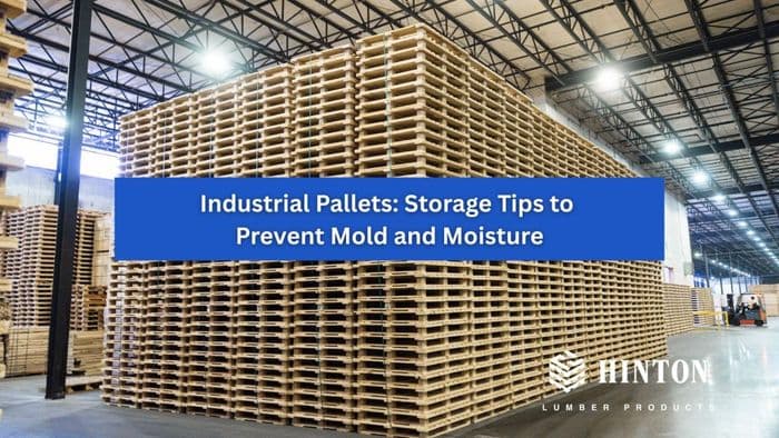 Industrial Pallets: Storage Tips to Prevent Mold and Moisture cover art