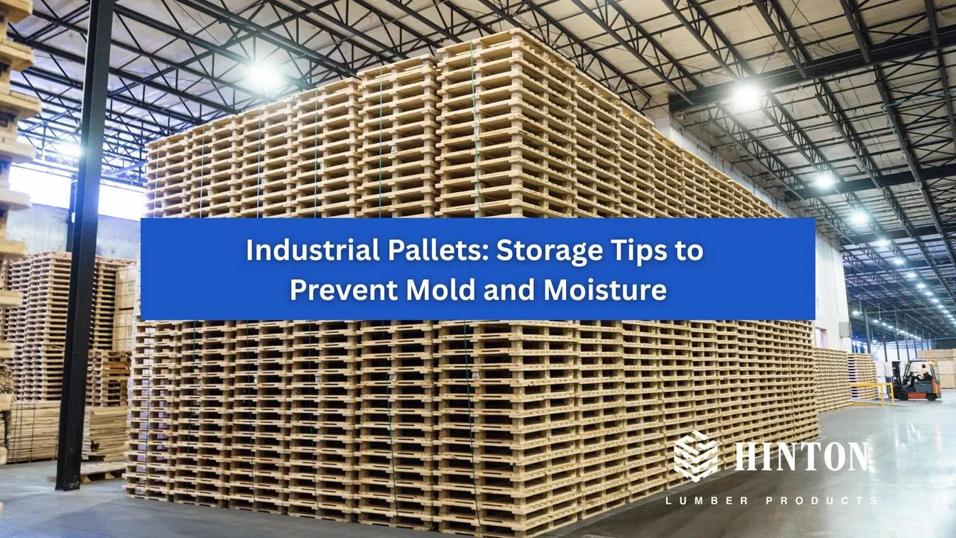 Industrial Pallets: Storage Tips to Prevent Mold and Moisture cover art