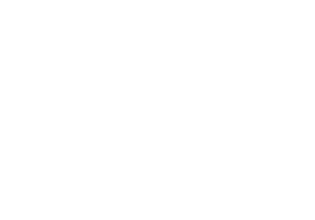 Ideal Physical Therapy & Fitness logo