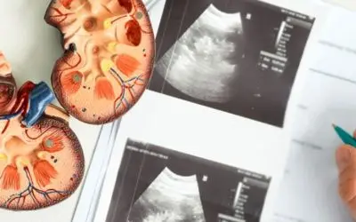 Why Regular Check-Ups with a Kidney Specialist Are Crucial for Kidney Health