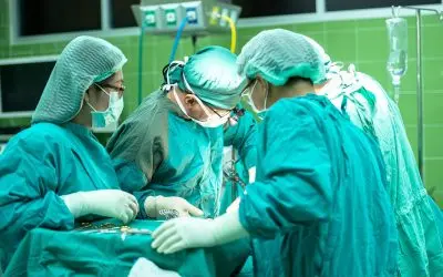 Who Qualifies for a Kidney Transplant? Common Disqualifiers and How to Get Back on Track