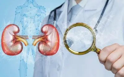 The Role of a Kidney Specialist in Chronic Kidney Disease