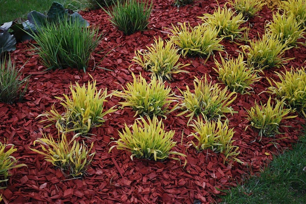 red mulch in garden bed with green plants