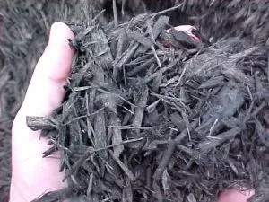 Black Colored Mulch