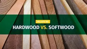 Hardwood vs. Softwood