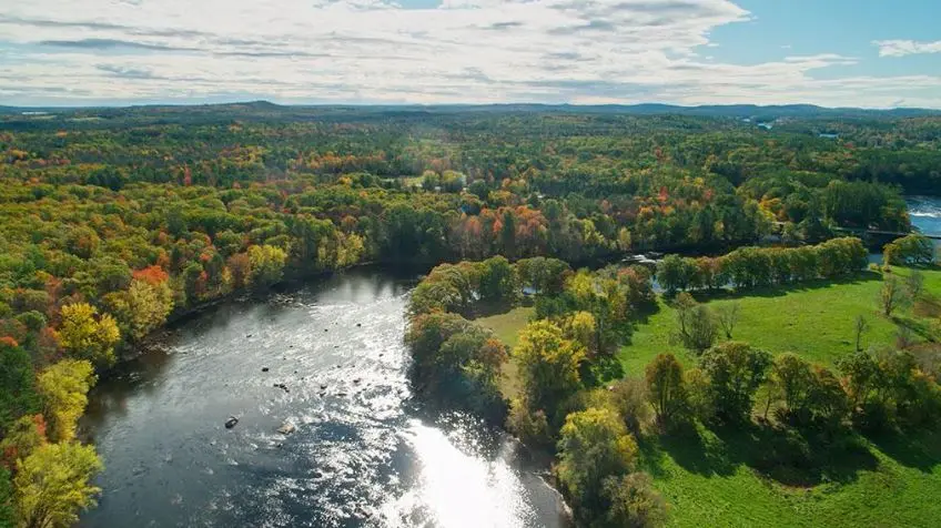 Pallet Company in Maine shows Landscape of trees for manufacturing