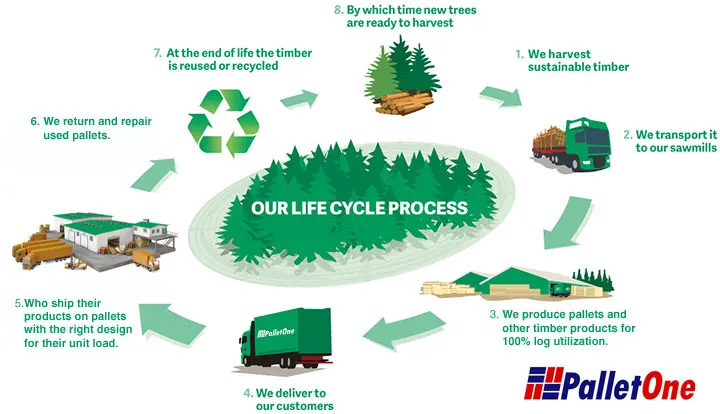 Eco-Friendly-pallet-life-cycle-recyle-used-pallets