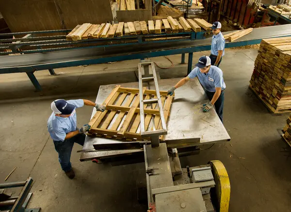 Pallet recycling