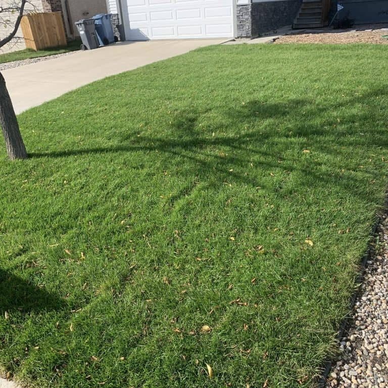Be Happy Sod Installation