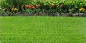 How Landscaping in Anchorage Can Help Prevent Lawn Fungus and Weeds