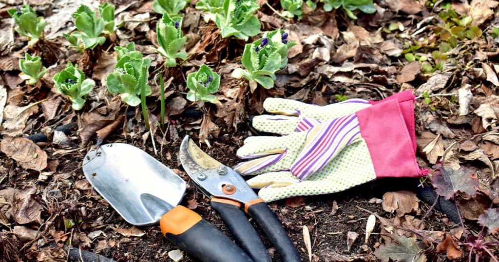 Seasonal Landscaping Strategies for Commercial Properties: A Year-Round Guide