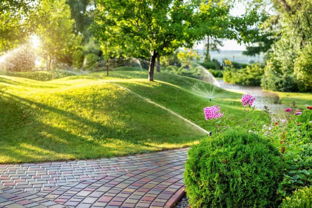 Lush green lawn with sprinklers watering vibrant flowers and trees in a sunny garden scene.