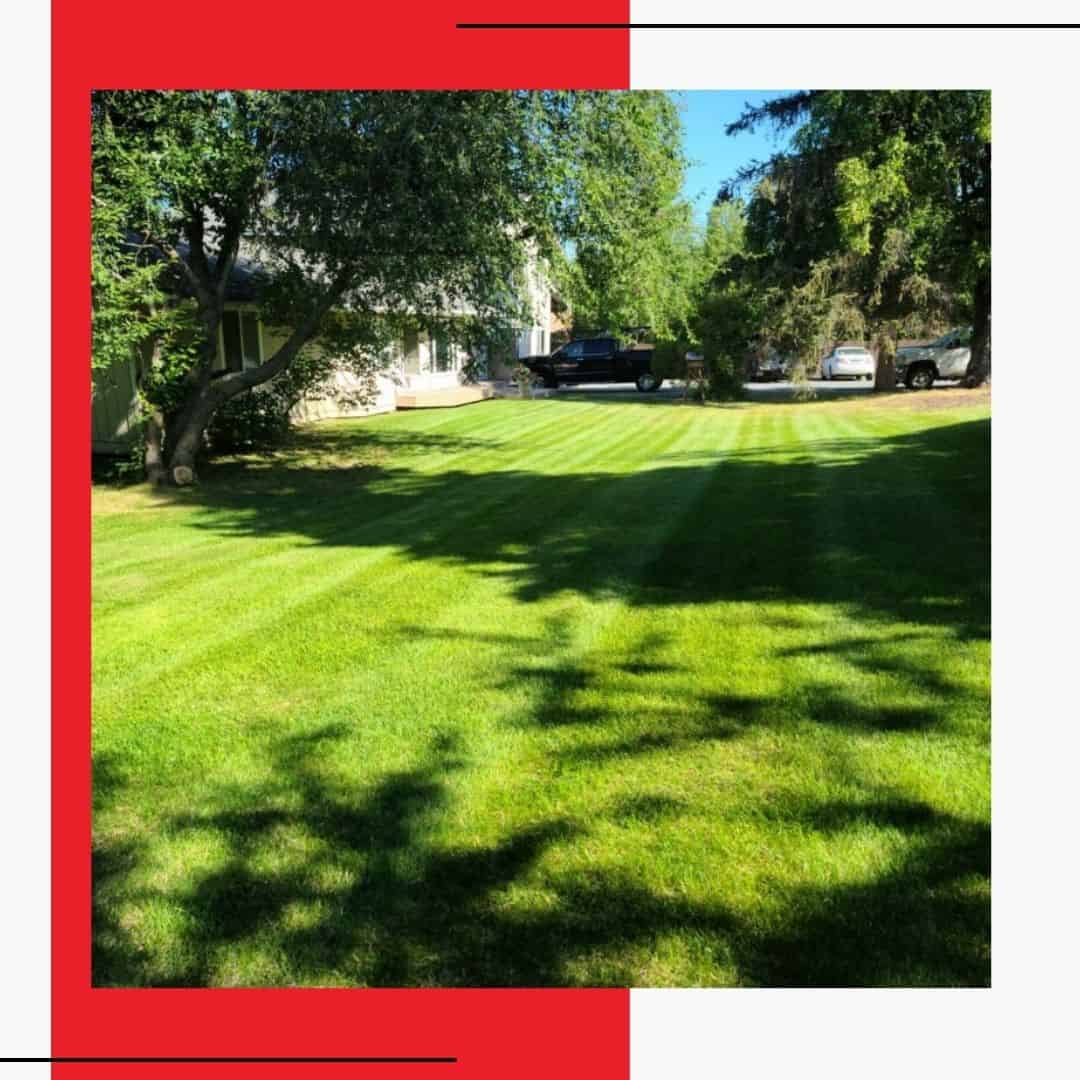 Landscaping 1