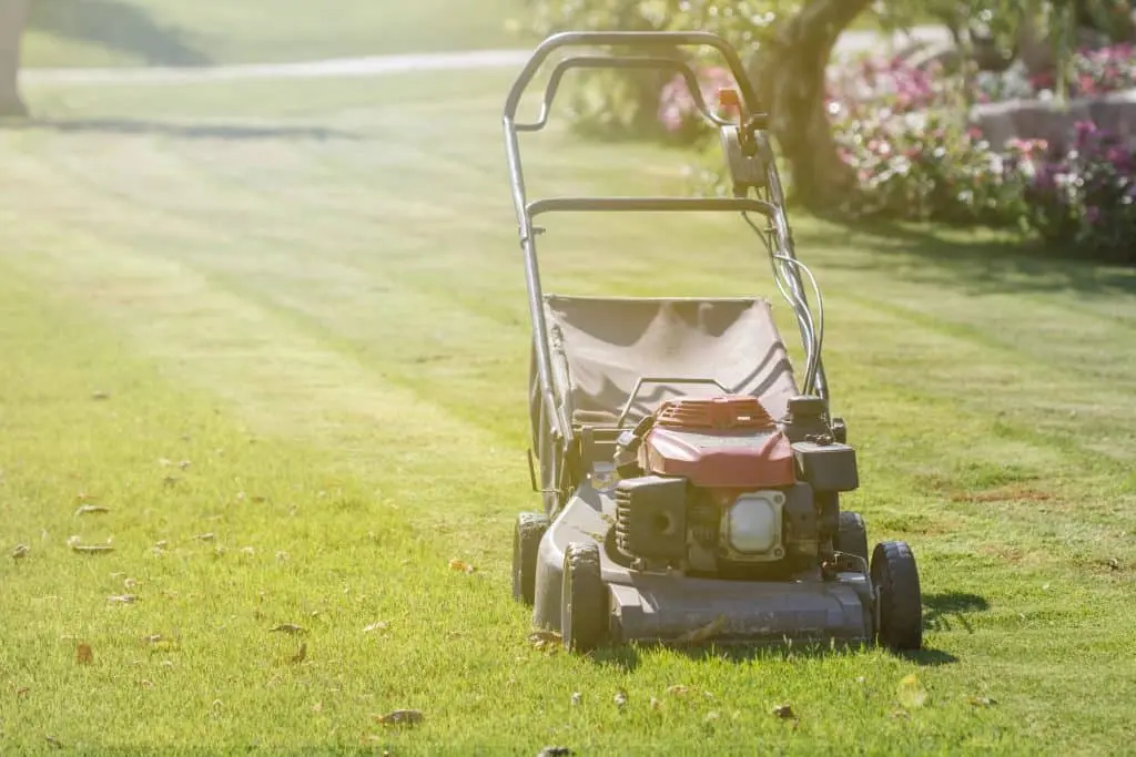 Lawn mower cutting grass in a lush, green garden.