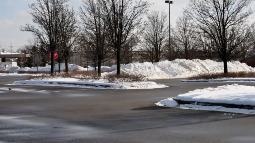 Snow-covered parking lot with leafless trees and streetlights in winter.